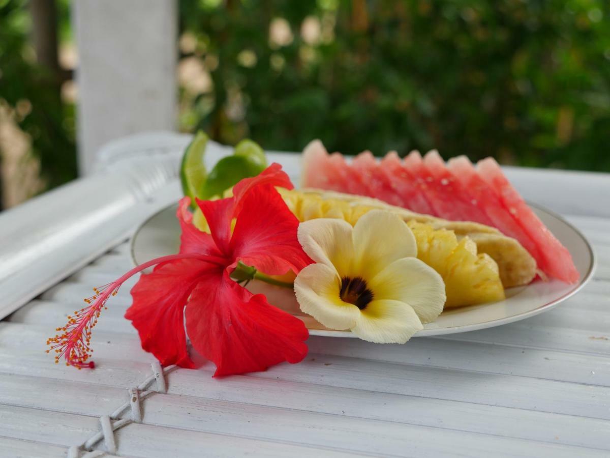 El Jardin De Shambala Hotel กิลิไอร์ ภายนอก รูปภาพ